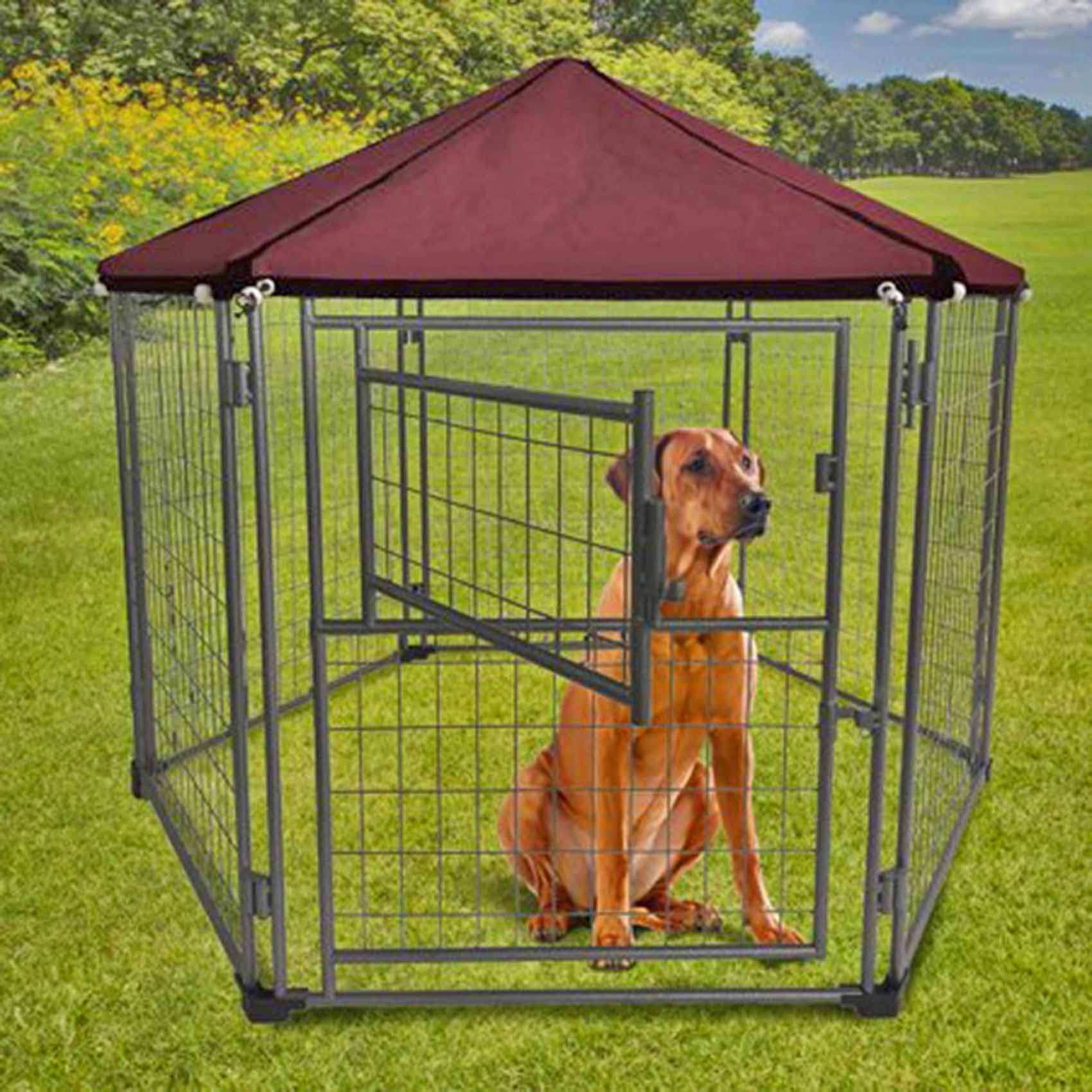 Outdoor 2024 dog pen